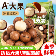 夏威夷果云南坚果批发新货奶香味原味大颗粒零食袋装休闲食品早餐