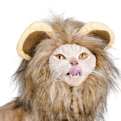 Internet celebrity cat lion headgear cute little hat rabbit ears funny wig Christmas dress up pet clothing