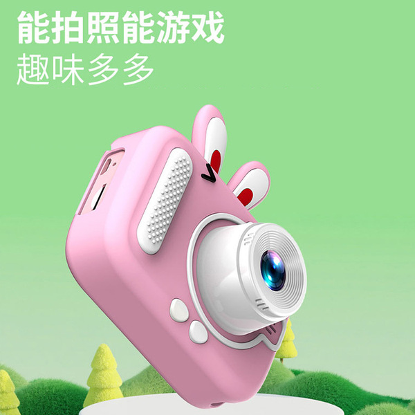 digital camera