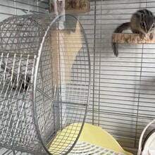 ۴Po݆ĥD݆zDYý␞С