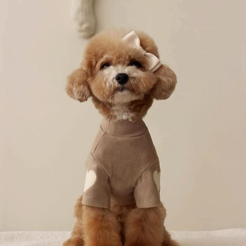 Perro de primavera y verano Maillard color salvaje amor camisa de fondo de terciopelo mediano y pequeño perro peluche gato perro mascota