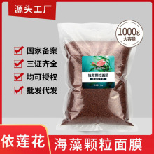 大量批发美容院装海藻面膜小颗粒袋装大颗粒1000g补水保湿海藻泥