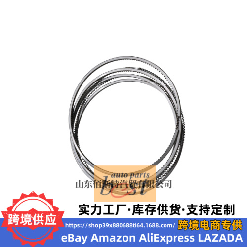23040-2g500 Is Suitable for Hyundai Kia Engine Piston Ring 23040 2g500 230402g500