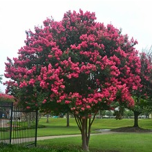 �ļ��_���ͺ���ޱ����e�������ͥԺ�Nֲ���ռt��ޱ����G����