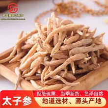 源头工厂太子参正宗河北太子参散装孩儿参批发精选农产品太子参粉