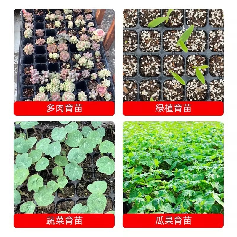 【东南亚欧美跨境专供品质】育苗盘育苗盆穴盘塑料杯营养钵扦插盒|undefined