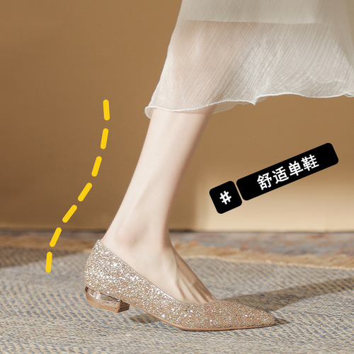 2213 Pointed toe flat shoes for women 2024 new low heel silver crystal wedding shoes shallow mouth not tiring feet thick heel single shoes