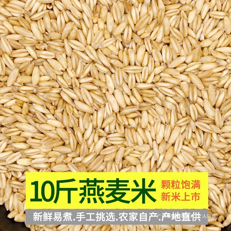 Northeast Coarse Grain Oatmeal 5kg Seasonal New Oatmeal with Germ, Raw Oat Kernels, Peeled Oatmeal, Oat Grains