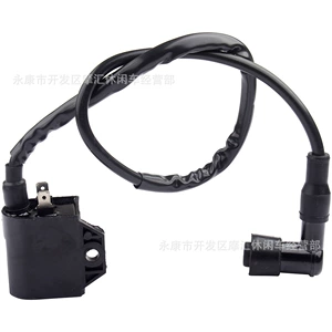 Suitable for Suzuki Lt-A400 Eiger Lta400F King High Voltage Package Coil 33410-41D20