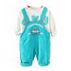 Set for boys, children's clothing, denim overall, trousers, 2023, western style, autumn, wholesale