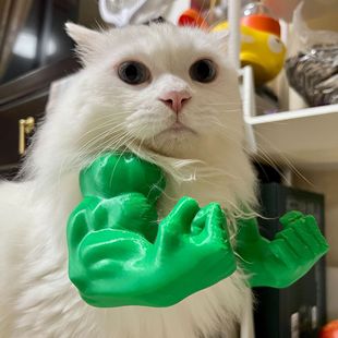 Cross-Border Hot-Selling Cat Pendant 3D Printed Cat Muscle Arm Cat Hulk Arm Cat Fun Decoration