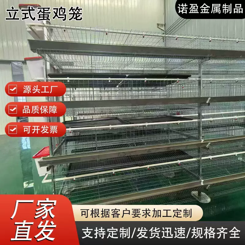 立式H型蛋鸡笼三层四层层叠式养鸡设备鹌鹑养殖笼子规模化养殖场