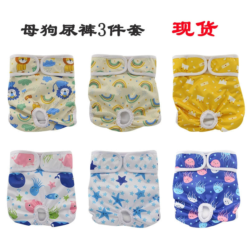 Штаны для матери и собаки Чайка Набор из 3 в наличии Брюки с защитой от домогательств Моющиеся женские подгузники Брюки для домашних животных