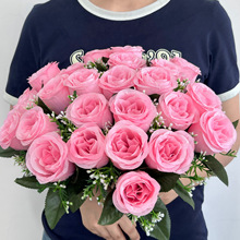 �羳���N24�^��߅õ�廨���廨ϵ�л�c�b�