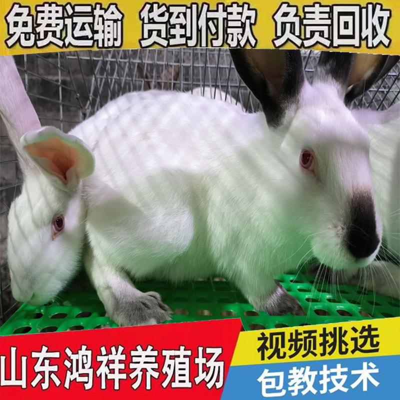 493ab7162cc74e73b36036f3c704d1