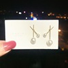 Earrings, trend fashionable accessory, Korean style, silver 925 sample, city style, wholesale