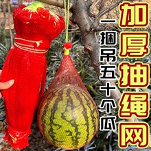 Դ�^�S�����l��������ϾW�������ܹ��b���M�W���з�W�bˮ���W��