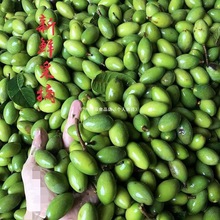 ���r�ϙ����ϙ��ˮ��������ЋD�Ҝ������}��̴����`�帣����S