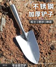 小铲子园艺种花工具家用不锈钢盆栽铁铲小铁锹小锄头栽花用的花铲