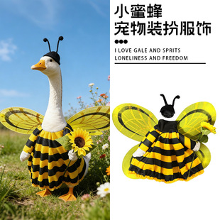 �羳�T���Z�·� 2025�¿����Z��@�t�Sɫ�۷�ư�x������b�b�