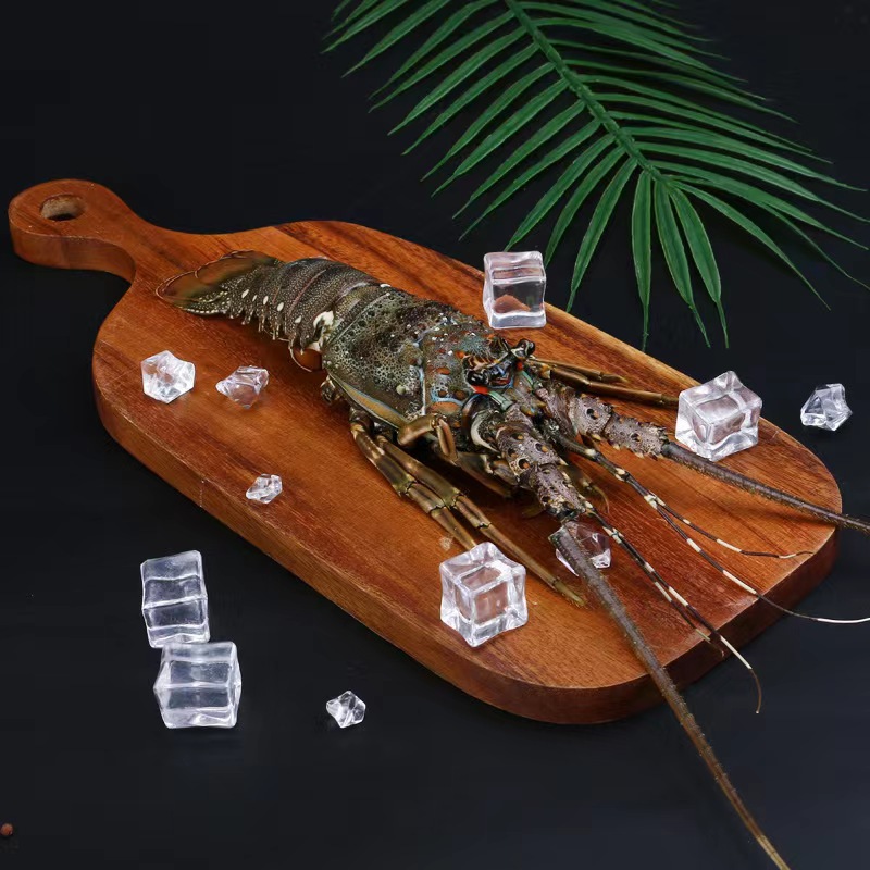 东山岛活冻小青龙缺氧小青龙澳龙大花龙红龙小青龙虾刺身餐饮直供