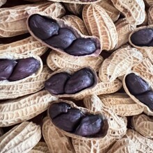 �ڽ����ڻ���500g��ʳ���]���l��Ʒ���l�خa ���e��ʳ ׷��С��ʳ