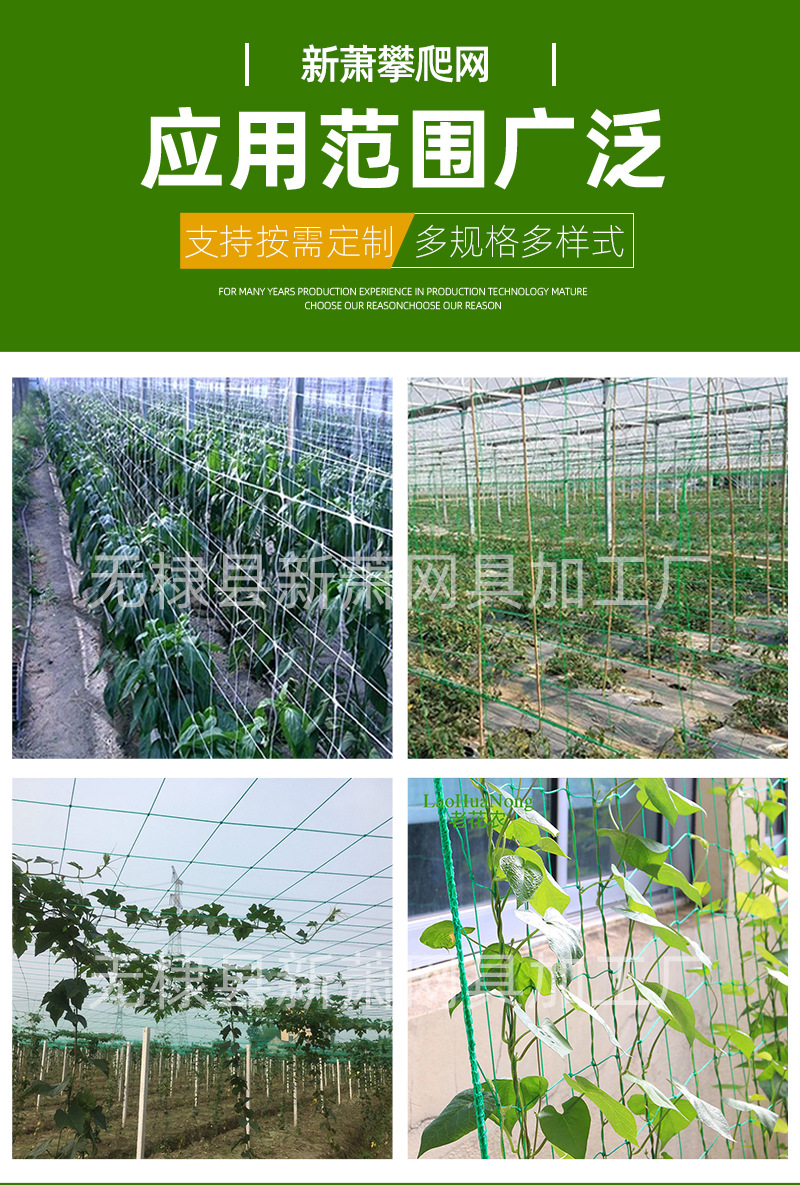 6攀爬网_07.jpg