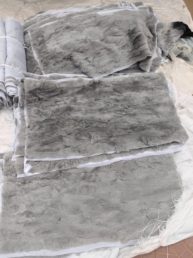 微信图片_20250319100409