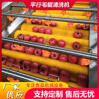 定制果蔬毛刷清洗机西红柿平行毛辊清洗机萝卜根茎类清洗去泥去杂