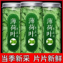薄荷茶正宗薄荷叶新鲜可食用干薄荷叶清凉泡水薄荷叶泡茶