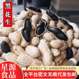 富硒黑花生正品云南特产 花生带壳紫衣花生黑衣花生生的黑花生