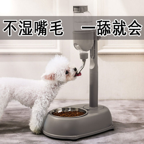Anti-toppling pole drinking fountain with hanging food bowl for cats and dogs, water dispenser with three steel balls, non-wet mouth, with suction cup