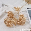 Trigema hydrangea