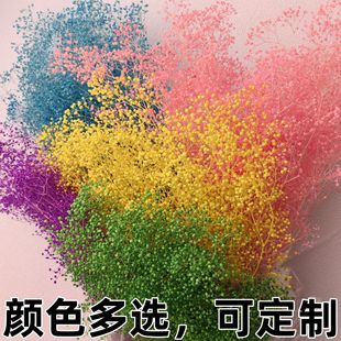 ���������f��С�M����ϼ����޹���ͻ��Ĳ����ֹ�DIY�b����l