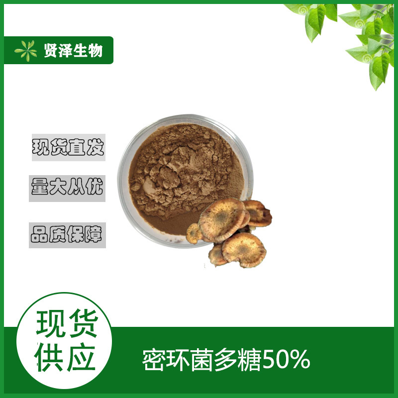 密环菌多糖 50% 蜜环菌粉 蜜环菌提取物  贤泽生物 现货供应