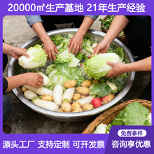 不锈钢特大斗盆冬季家用北方洗菜盆装菜盘特大号加厚加深1米大盆
