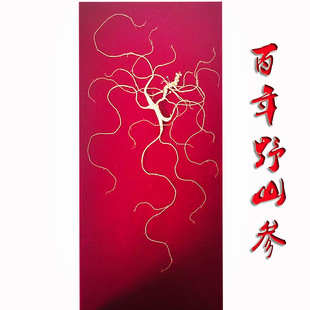 �L��ɽ����Ұɽ�����z�ص�Ұɽ���Y�Ж|��������ɽ���˅�֧�ִ��l