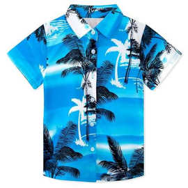 外贸儿童夏款沙滩休闲衬衣椰子树叶彩虹火烈鸟衬衣渐变色衬衣