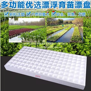 Ư����ĭ��ˮ�ϷNֲ��ɫ��ĭ����Pˮ���߲�ș�����翾��Ư���P