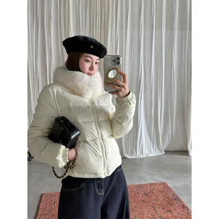 【王琪芝】90白鸭绒通勤立领羽绒服女冬短款抽绳收腰保暖外套5116