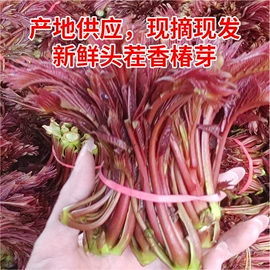 其他蔬菜;其他调味品;其他休闲食品