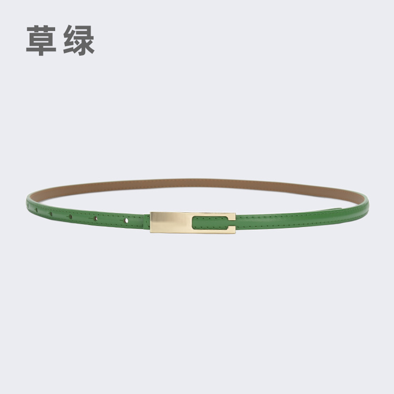 10729-잔디 녹색