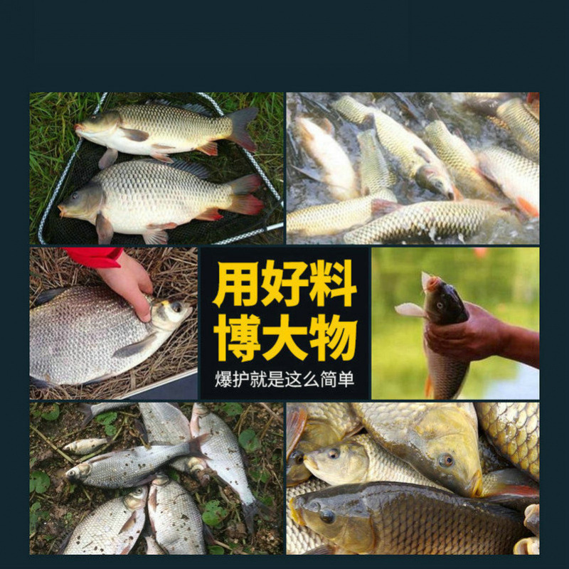 爆発的な釣り餌、野生の釣り餌、川の草、草の魚の餌、遠投鯉の爆弾投げ釣り餌、クロスボーダー|undefined