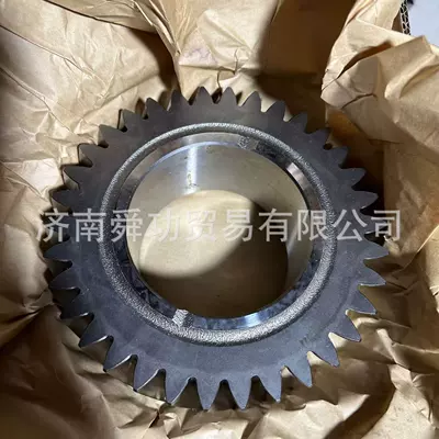 Transmission gear and shaft Helical Gear 1 316 304