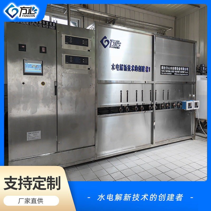强碱水加电水设备强碱性电解离子水设备冷萃茶叶用于农业食品行业