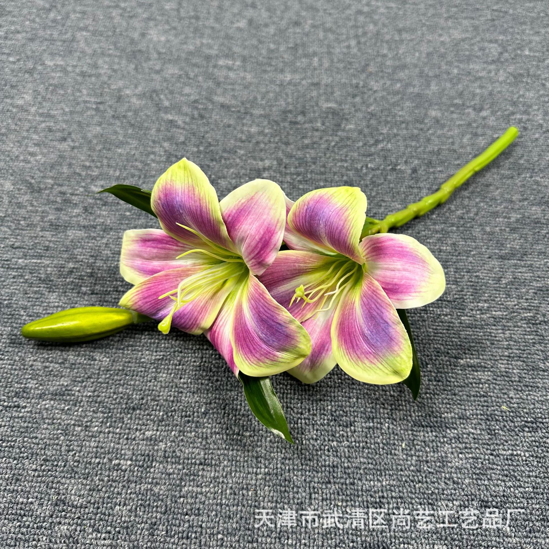 보라색