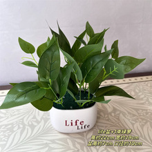 �͏d�ٻ��[���G�}���ϻ����҃Ȕ[�O��������С���Է��滨ˇ���b