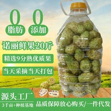 �����}Ц���Z���r�����ذl��ԭ�����r�Z����noni�}��I�¹�20��