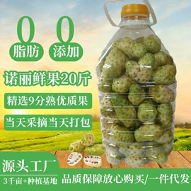 酵素;其他水果;微生物发酵
