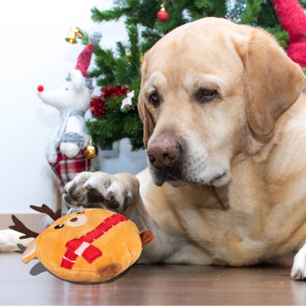 Navidad mascotas interactivas juguetes de peluche juguetes para gatos juguetes